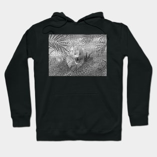 Leopard Territory 1 Hoodie